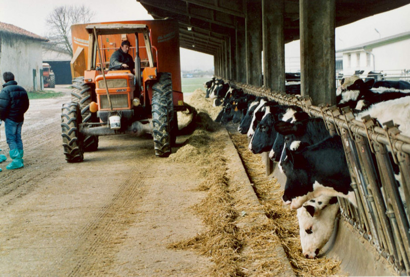 Agricoltura sostenibile: arrivano i fondi dalla Regione